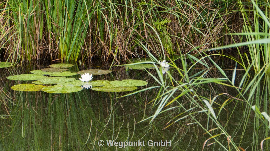 Unterwegs - Natur pur!